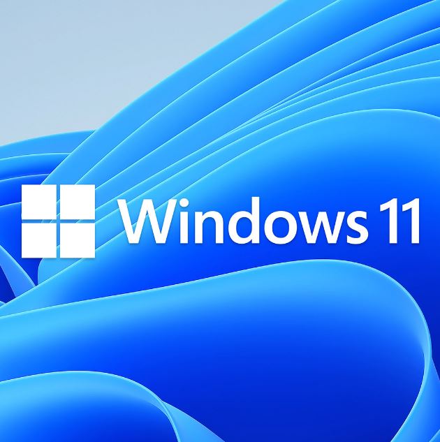 Microsoft Windows 11 Home OEM 64-bit English 1 Pack DVD. Key only NEW - Leader Electronics