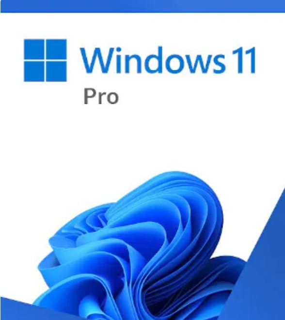 Microsoft Windows 11 Professional 64-bit USB Flash Drive Retail Pack Full Package Product - Leader Electronics