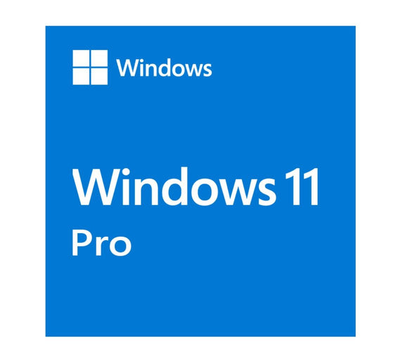 Microsoft Windows 11 Professional OEM 64-bit English 1 Pack DVD. Key NEW - Leader Electronics